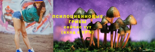 скорость Инсар