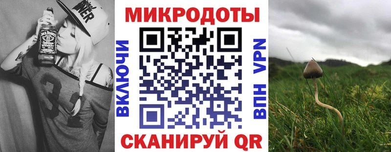 Купить закладки  Когалым  Псилоцибиновые грибы GOLDEN TEACHER 